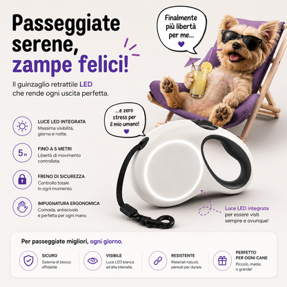TAILORA™ Più sicurezza, visibilità totale e passeggiate serali senza pensieri 🐾✨