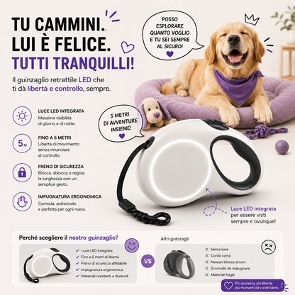 TAILORA™ Più sicurezza, visibilità totale e passeggiate serali senza pensieri 🐾✨