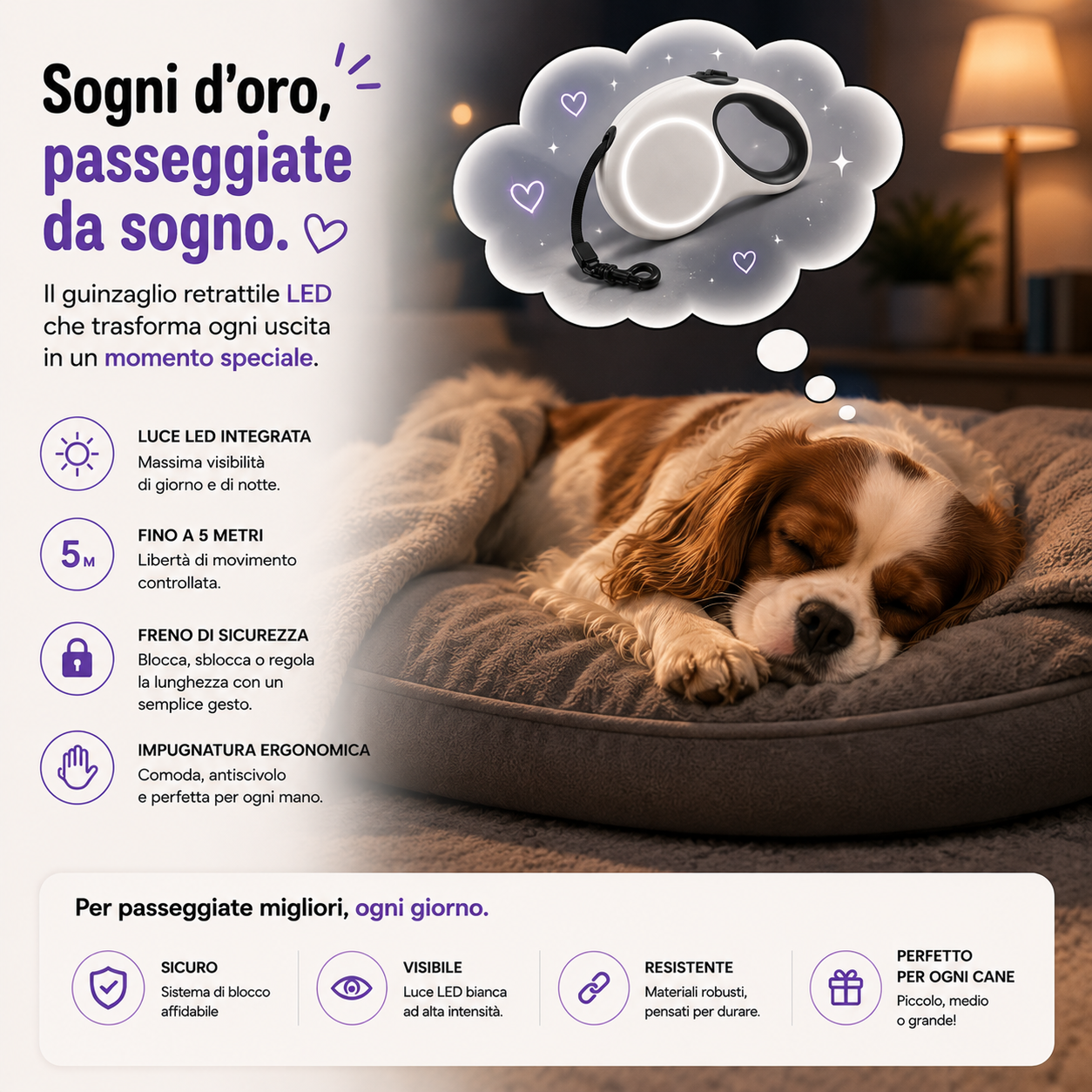 TAILORA™ Più sicurezza, visibilità totale e passeggiate serali senza pensieri 🐾✨