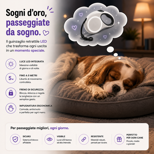 TAILORA™ Più sicurezza, visibilità totale e passeggiate serali senza pensieri 🐾✨